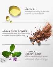 Load image into Gallery viewer, Product display of argan oil, shell powder, and botanical therapy blend on a white background.