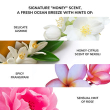Load image into Gallery viewer, Money Laundering Hydrating Conditioner
