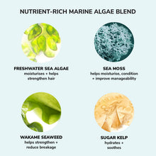 Load image into Gallery viewer, Money Laundering Hydrating Conditioner

