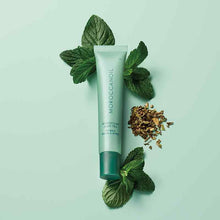 Load image into Gallery viewer, Moroccanoil lip balm with mint leaves on a light green background
